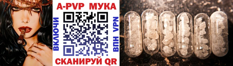 APVP СК  Нальчик 