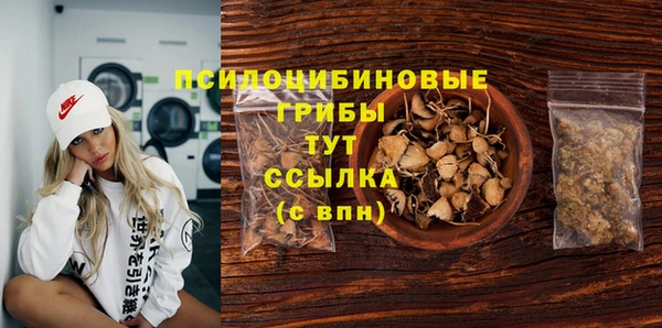 ГАЛЛЮЦИНОГЕННЫЕ ГРИБЫ Слюдянка