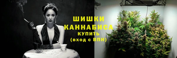 гашик Покровск