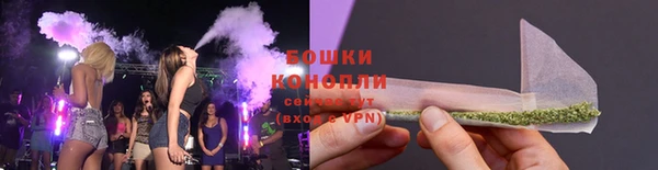 apvp Осинники