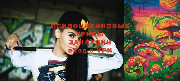 ГАЛЛЮЦИНОГЕННЫЕ ГРИБЫ Слюдянка