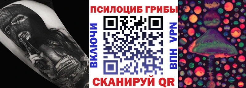 Псилоцибиновые грибы прущие грибы Нальчик