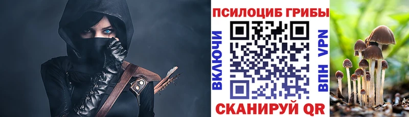 сайты даркнета формула  Нальчик  Псилоцибиновые грибы GOLDEN TEACHER 
